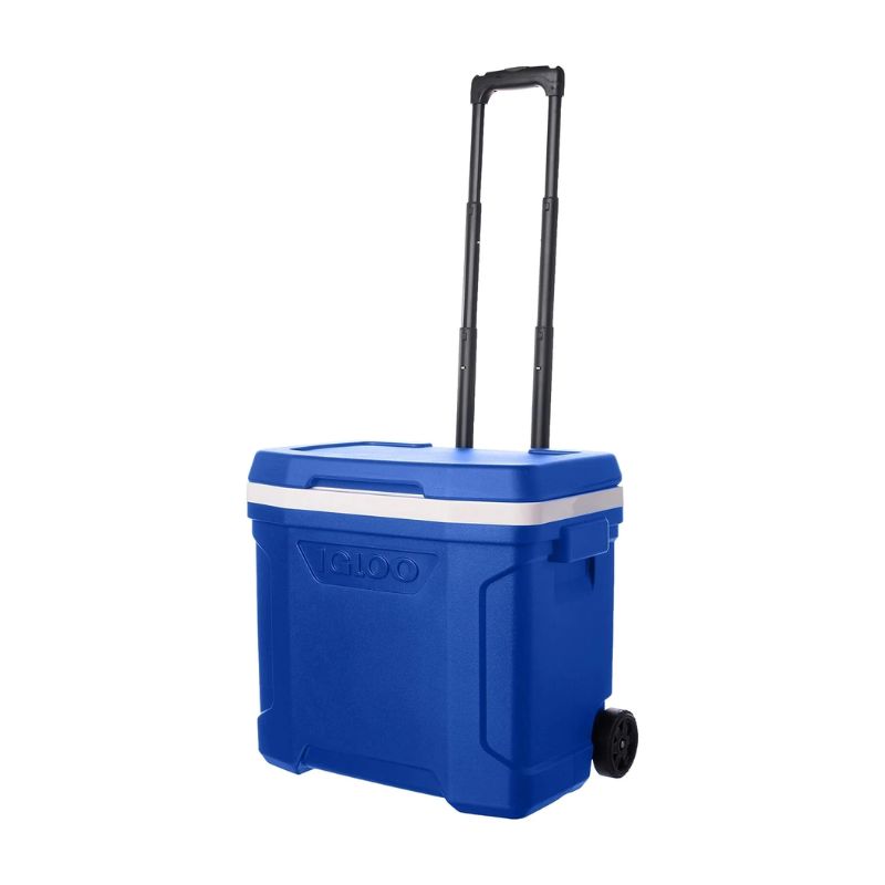 ⁦צידנית קשיחה 26 ליטר דגם PROFILE- BLUE-כחול איגלו - Igloo⁩ – תמונה ⁦2⁩